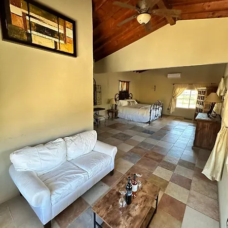 Casa Luna Vinedo Valle de Guadalupe Exterior photo