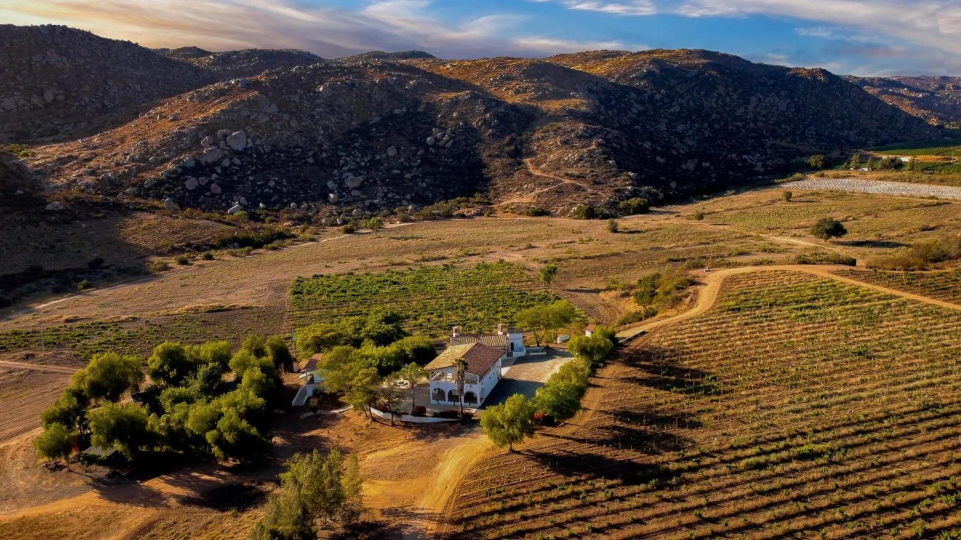 Farm stay Casa Luna Vinedo *